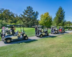 dune allen beach 30A gold cart rentals 